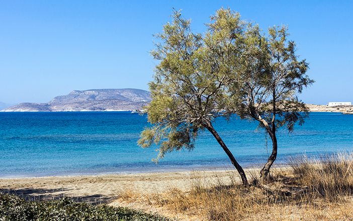 Η παραλία Λιβάδι στη Σχοινούσα