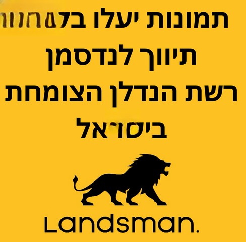 נכס