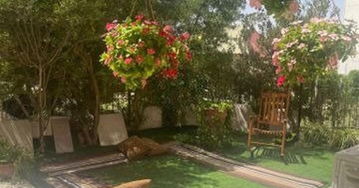 חלמיש, ערד · 3 חדרים · 95 מ''ר · ₪900,000 - תמונת נכס