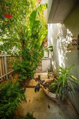Modern Village Oasis