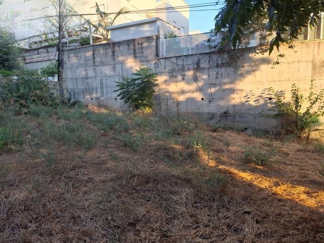 Prime Development Plot