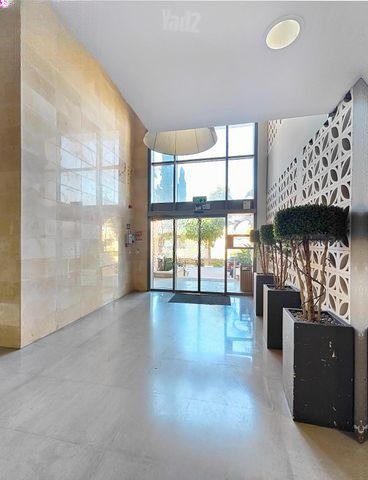 Modern Garden Oasis