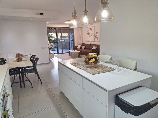Modern Garden Oasis