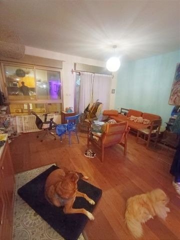 פנינה מודרנית בכרם