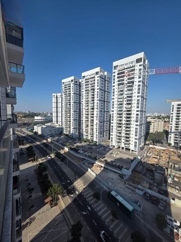 Sleek Highrise Haven