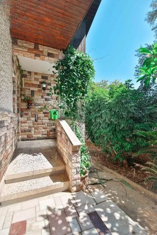 Vintage Zikhron Estate