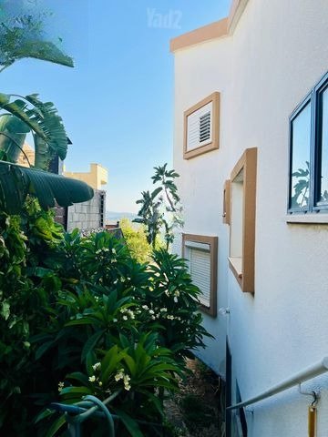 Baz Street Cottage