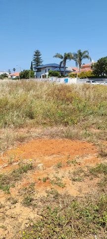 Brandeis Land Plot