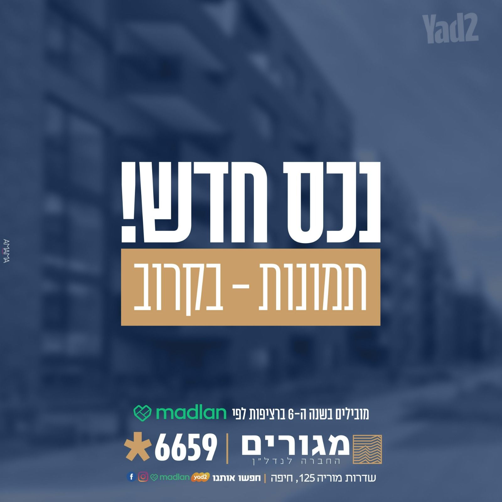 דירה מרווחת באחוזה