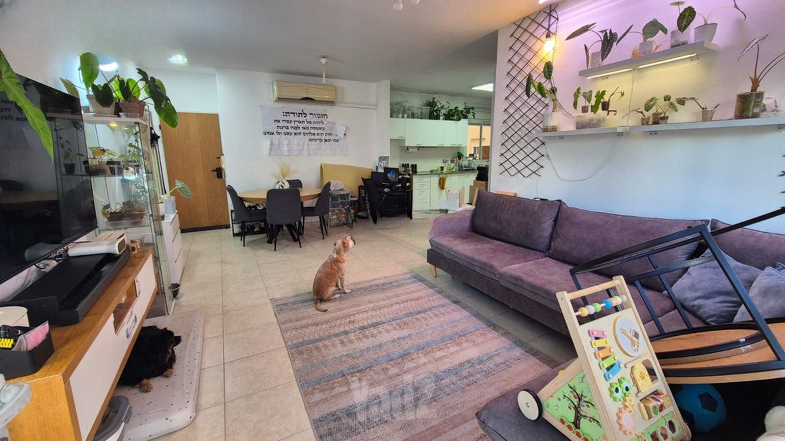 Magdiel Balcony Apartment