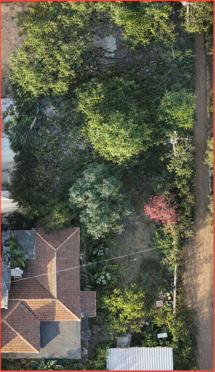 HaYarden Street Plot