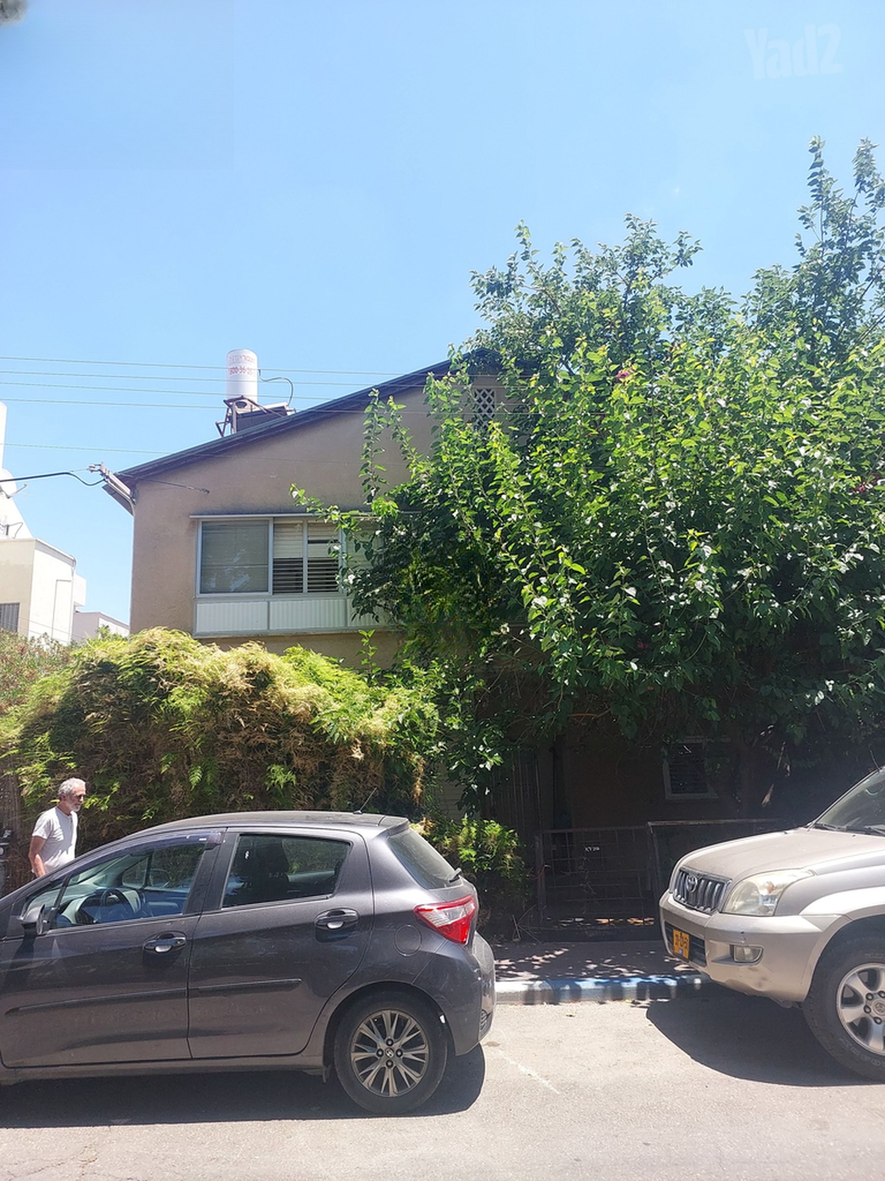 Reines Holon Plot