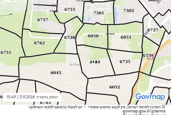Future Holon Plot