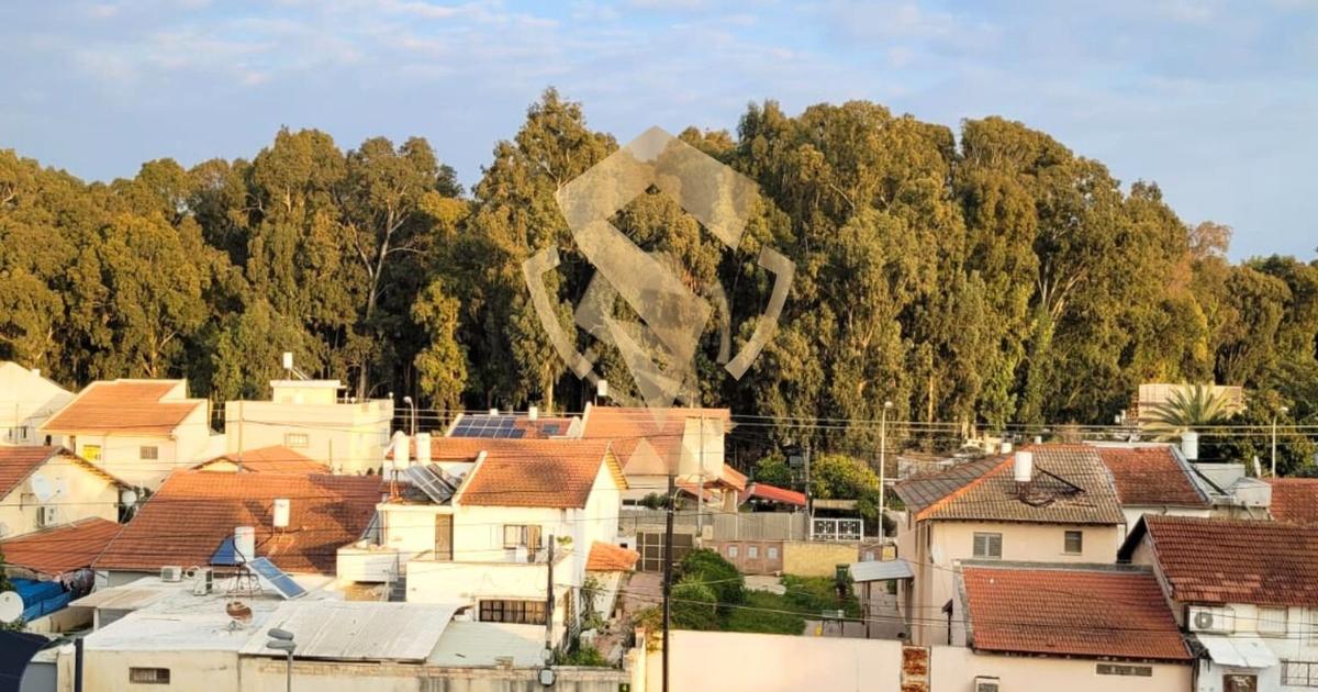 מסריק 19, פתח תקווה · 3 חדרים · 65 מ''ר · ₪1,690,000 - תמונת נכס