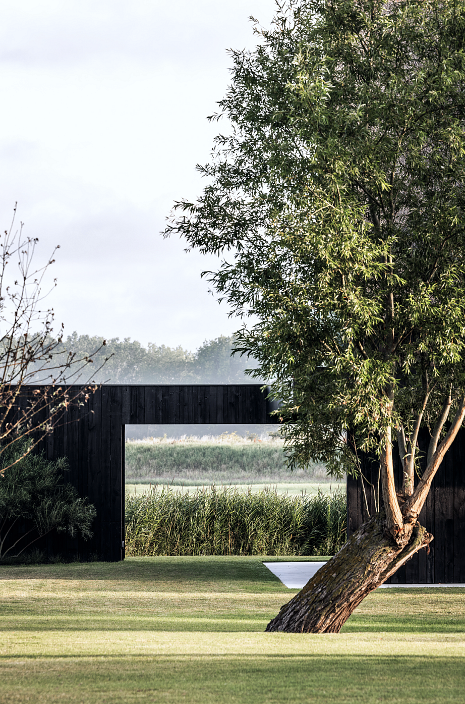 Landscaping Team Lewis Daemers