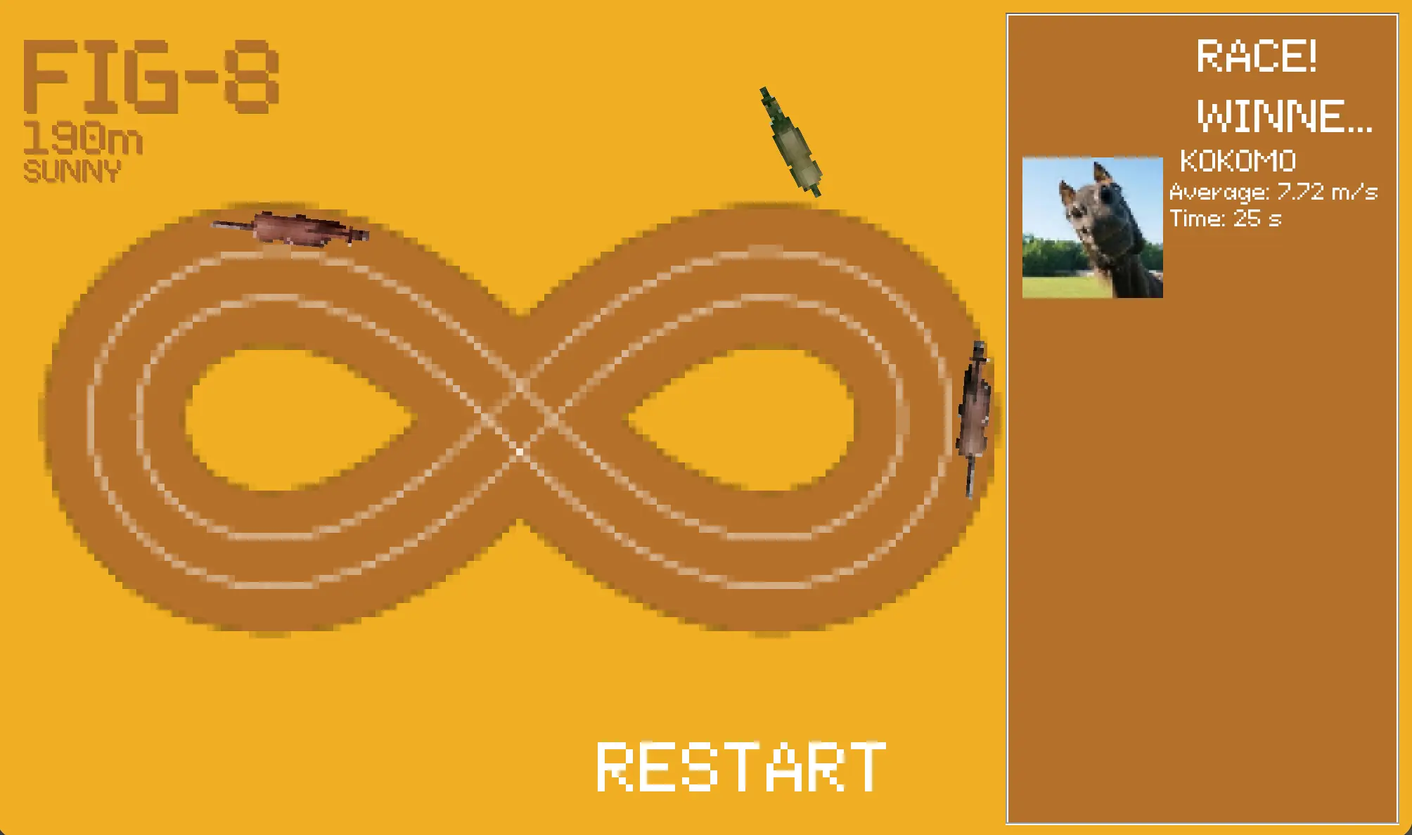 Horse Race Simulator finished race screen on a figure-eight track showing Kokomo as the winner