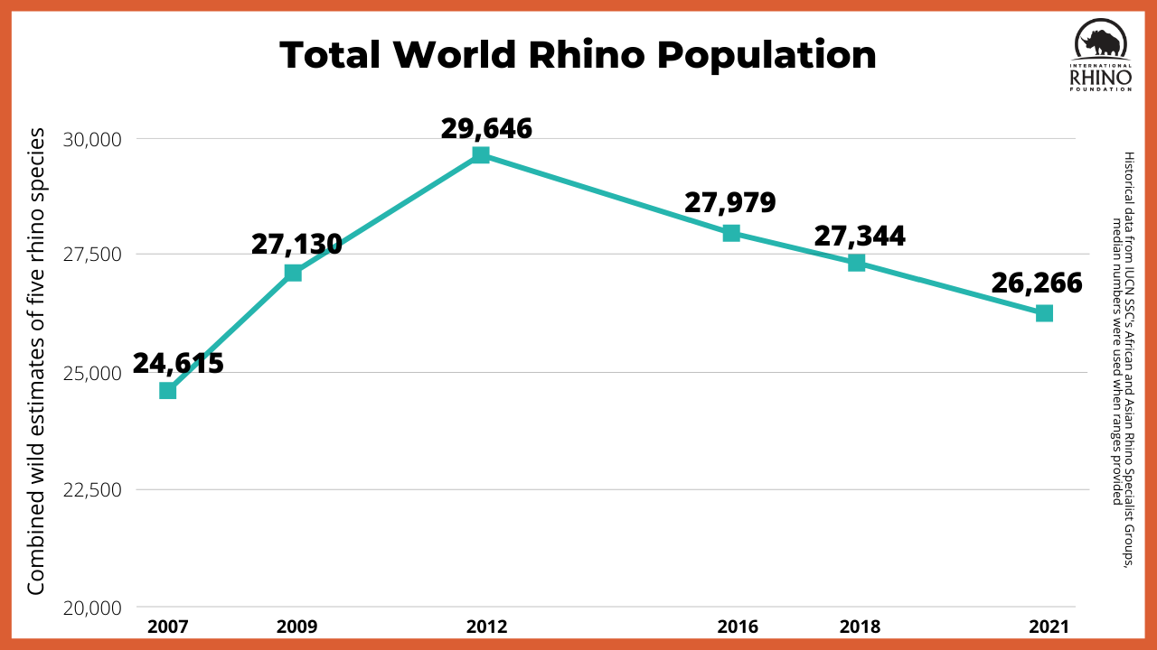 javan rhinoceros population graph