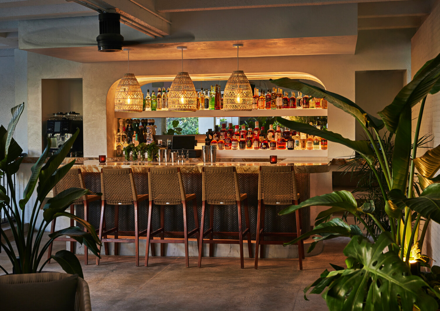 Things To Do This Month March Lettuce Entertain You