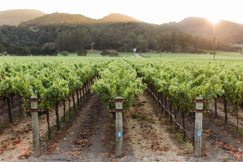 Accendo Winery at The Omaksase Room