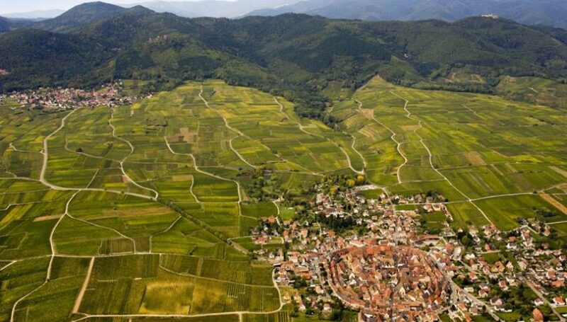 Domaine Emile Beyer Winery in Alsace, France