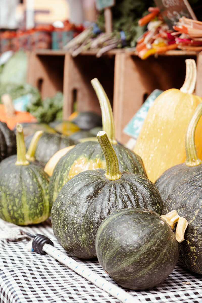 Pumpkin & Squash at farmer's market