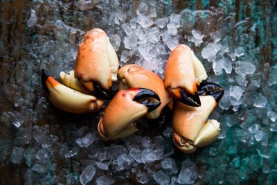 Stone Crab Claws