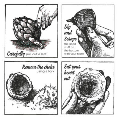 Artichoke Method Graphic