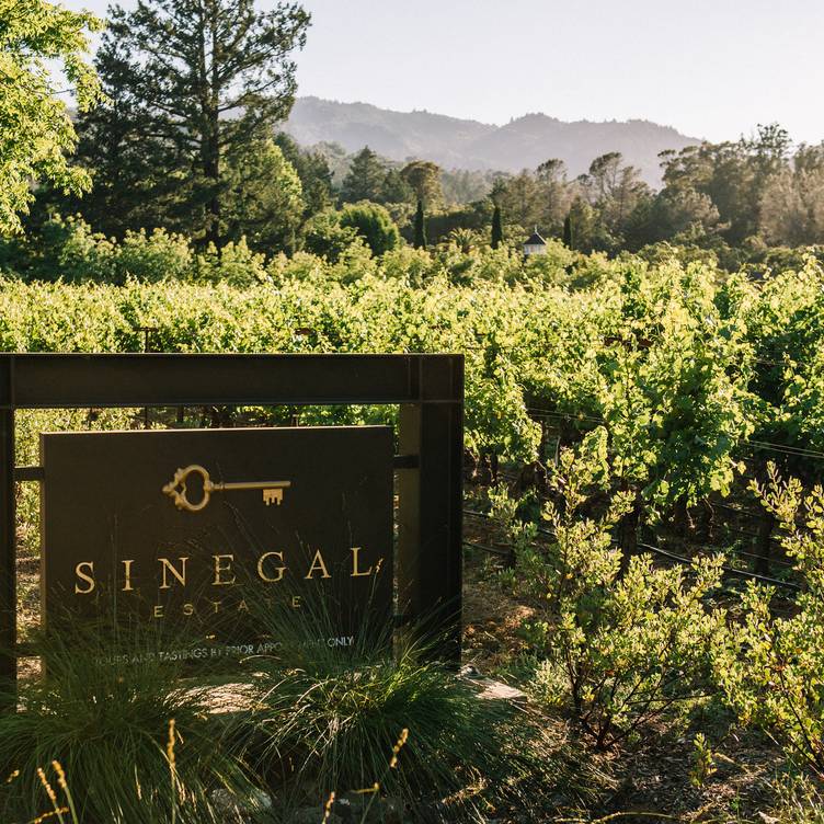 Sinegal Estate Winery