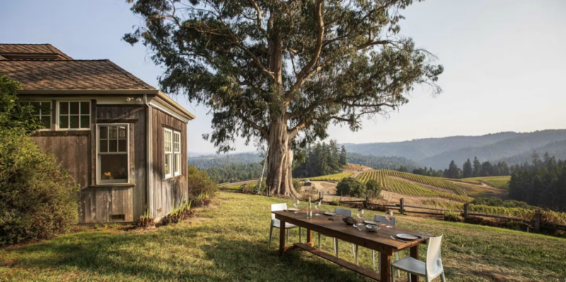 Peay Vineyards on the Sonoma Coast