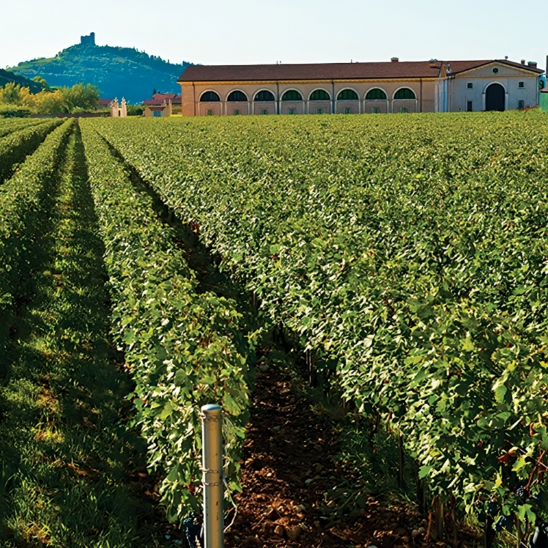 Dal Forno Romano Winery