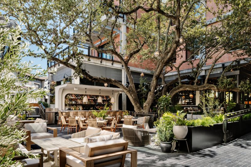 photo of the patio seating area and bar surrounding a large tree