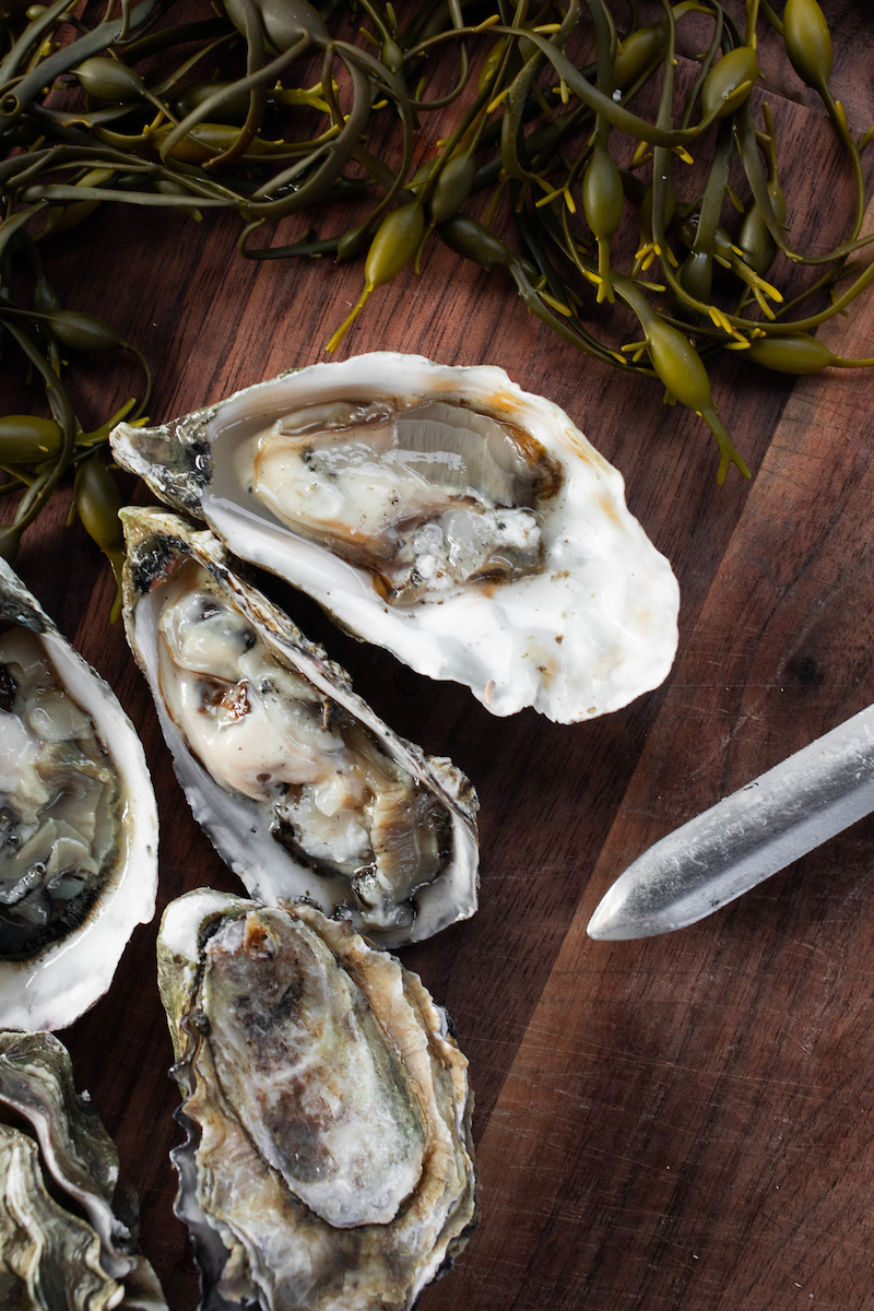 Freshly shucked oysters on the half shell