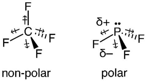 Dash-wedge models of C F 4and P F 3 with dipoles marked.On the left ...