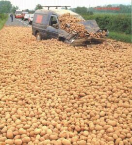 Voiture percutée par des pommes de terre