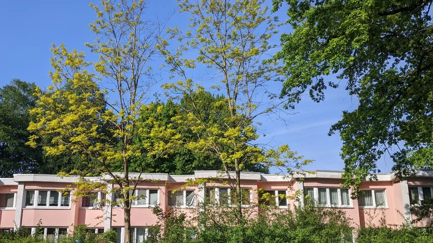 Familienrallye Hamburg: Gartenstadt Farmsen  Stadtführung