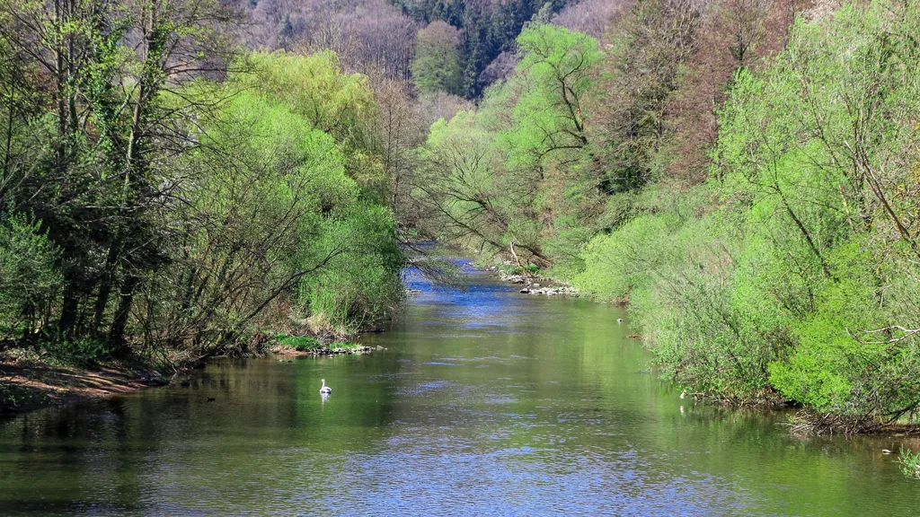 Pforzheim Führung im  Stadtteil Dillweißenstein  individuelle Stadtführung