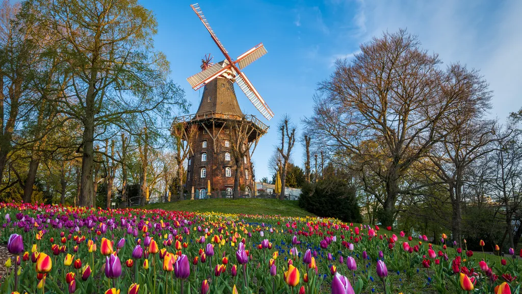Bremen für BesserWisser - Stadtrallye Bremen individueller Stadtrundgang