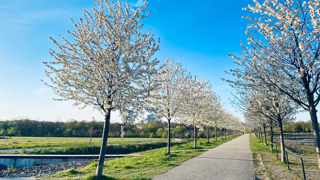 Phoenix-West Dortmund - Strukturwandel erleben individuelle Stadtführung