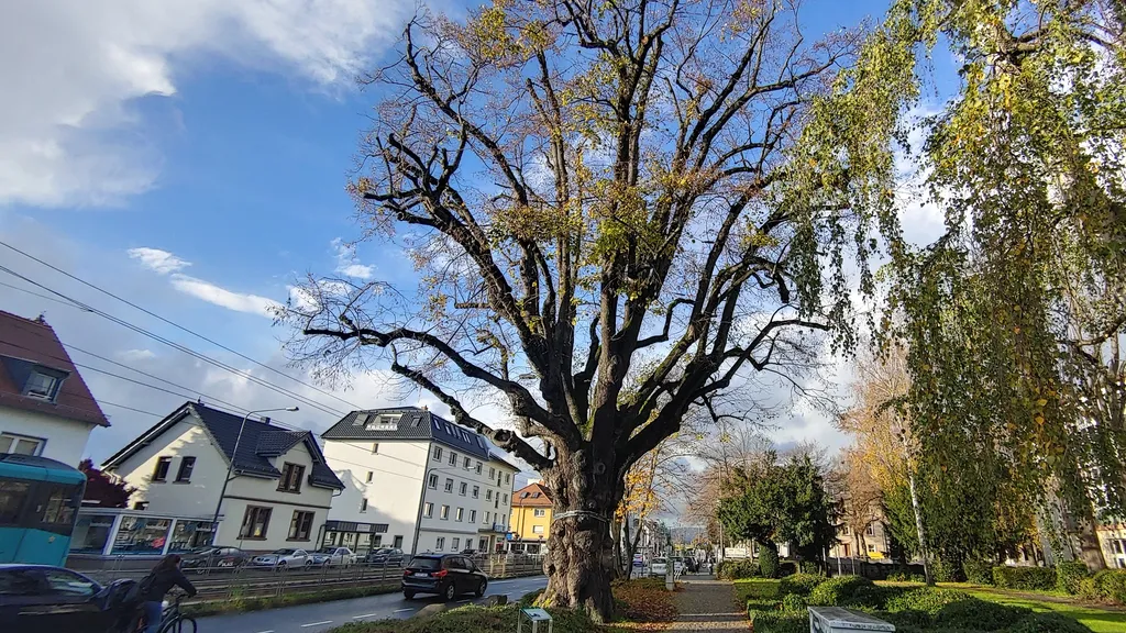 UN-tot Frankfurter Un-Orte I individuelle Stadtführung