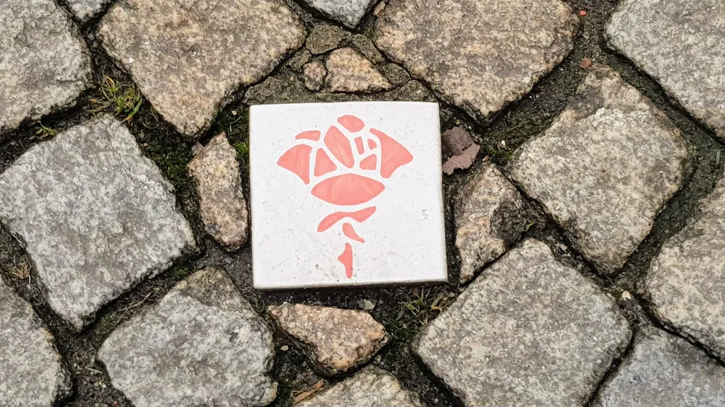 Stadtführung Hildesheim: Rosenroute + Welterbeband individueller Stadtrundgang