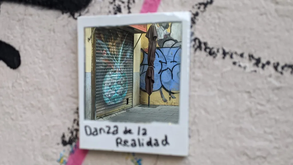 Madrid Street Art Tour in Lavapiés und Embajadores individuelle Stadtführung