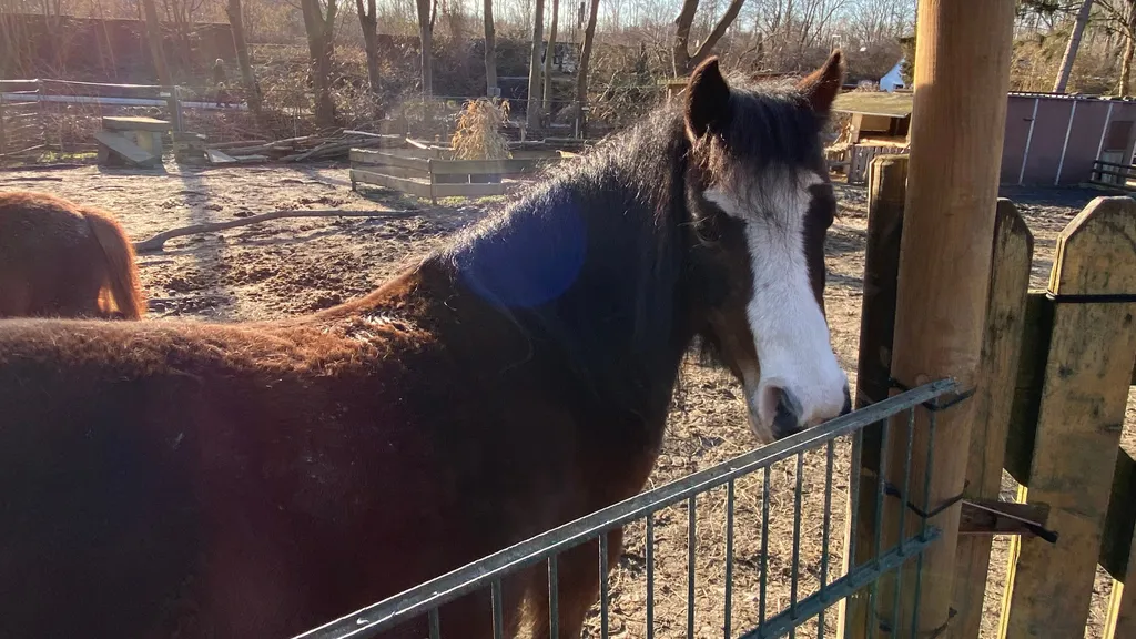 Dortmunder-Althoffblock, 4 Grünoasen und Caféliebe individuelle Stadtführung