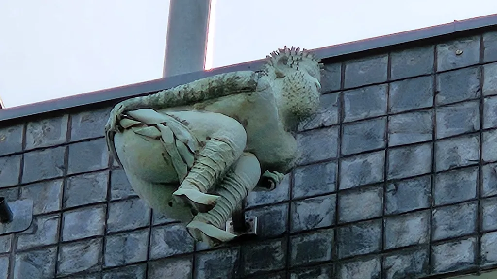 Köln Tour: Kuriose Fakten und unnützes Wissen individuelle Stadtführung