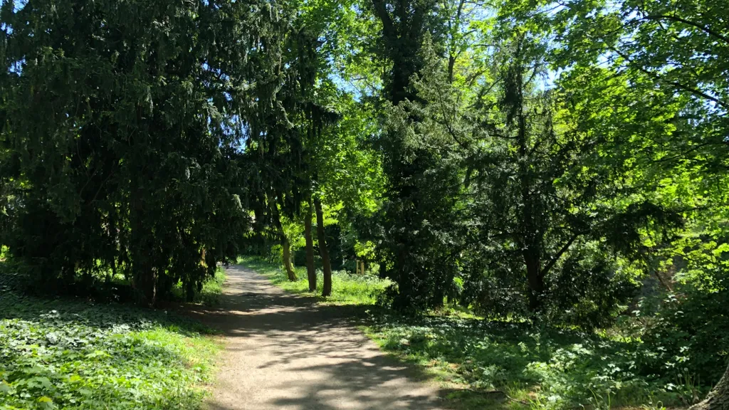 Ein Spaziergang durch den Schlosspark in Ostrau individuelle Stadtführung