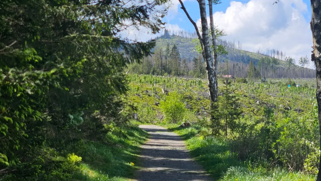 Die Geschichte der Hotels in Schierke individueller Stadtrundgang