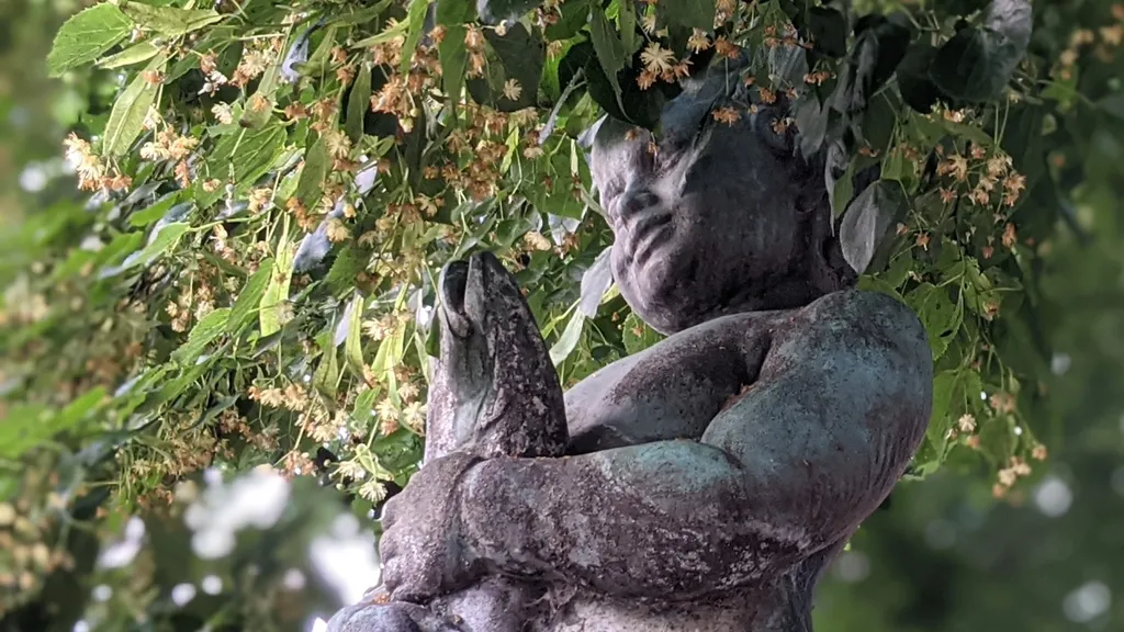 Die Hameln Rallye: Eine Altstadt unter der Lupe individuelle Stadtführung