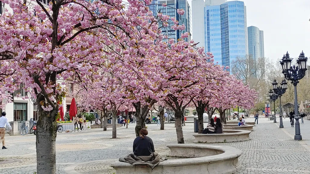 Radtour entlang der Stadtmauer Frankfurt individuelle Stadtführung