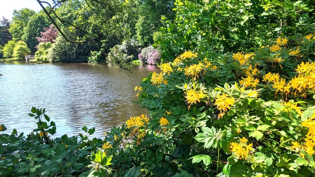 Oldenburg Stadtspaziergang mit Hafen individuelle Stadtführung