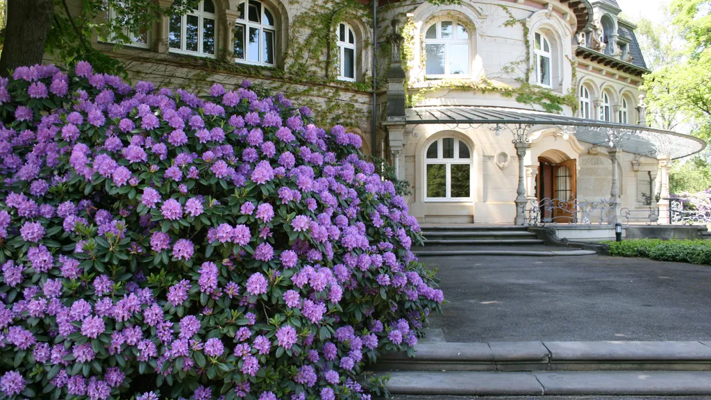 Friedhof Ohlsdorf Führung Archäologie individuelle Stadtführung
