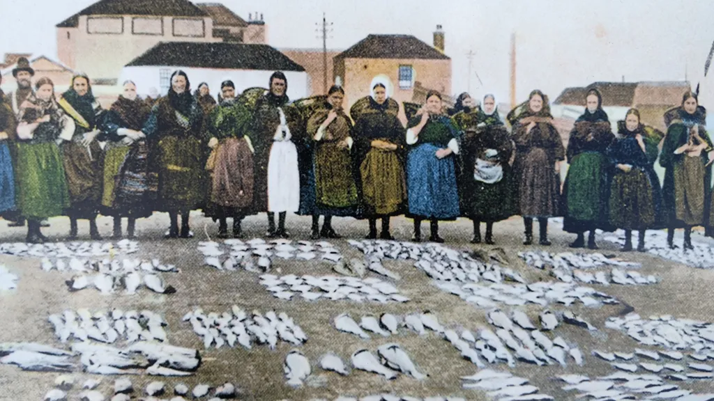 Musselburgh: Die Perle vor Edinburghs Haustür individuelle Stadtführung